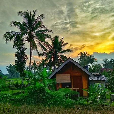 Citra Homestay Tetebatu Exterior photo